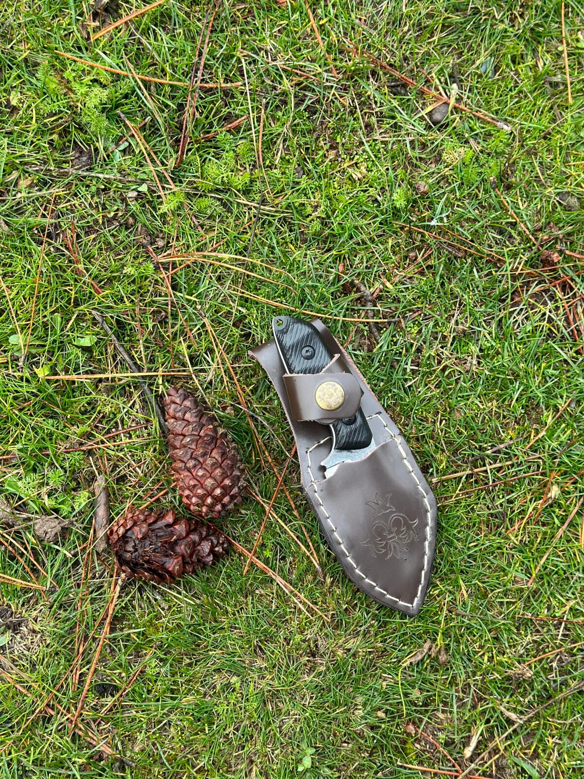 Kompakt Kabza Kamp & Av Bıçağı - 5001 - Görsel 3